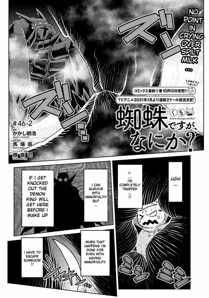 Kumo desu ga, nani ka? Vol.09 Ch.049.5