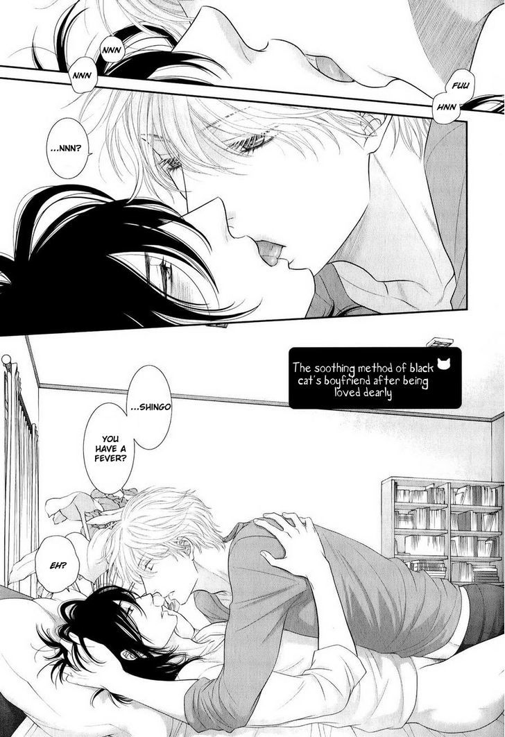 Kuroneko Kareshi no Afurekata vol.1 ch.12.5