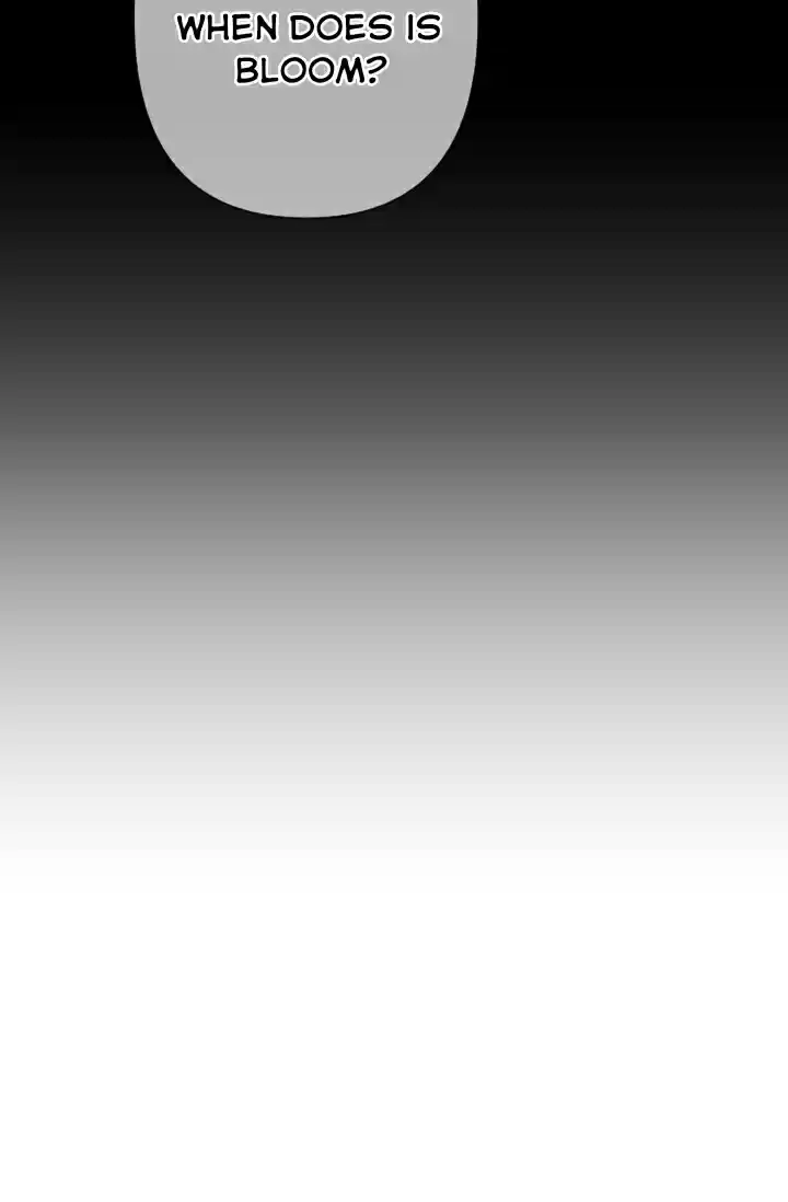 Lady Baby Chapter 100