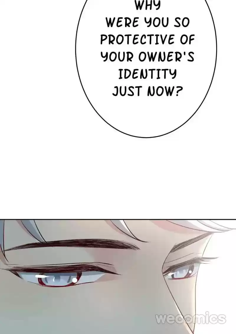 Legend Reboot Chapter 19