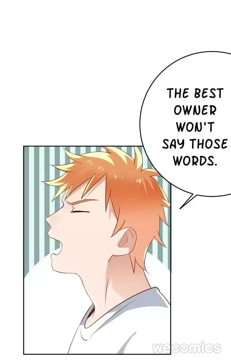 Legend Reboot Chapter 19