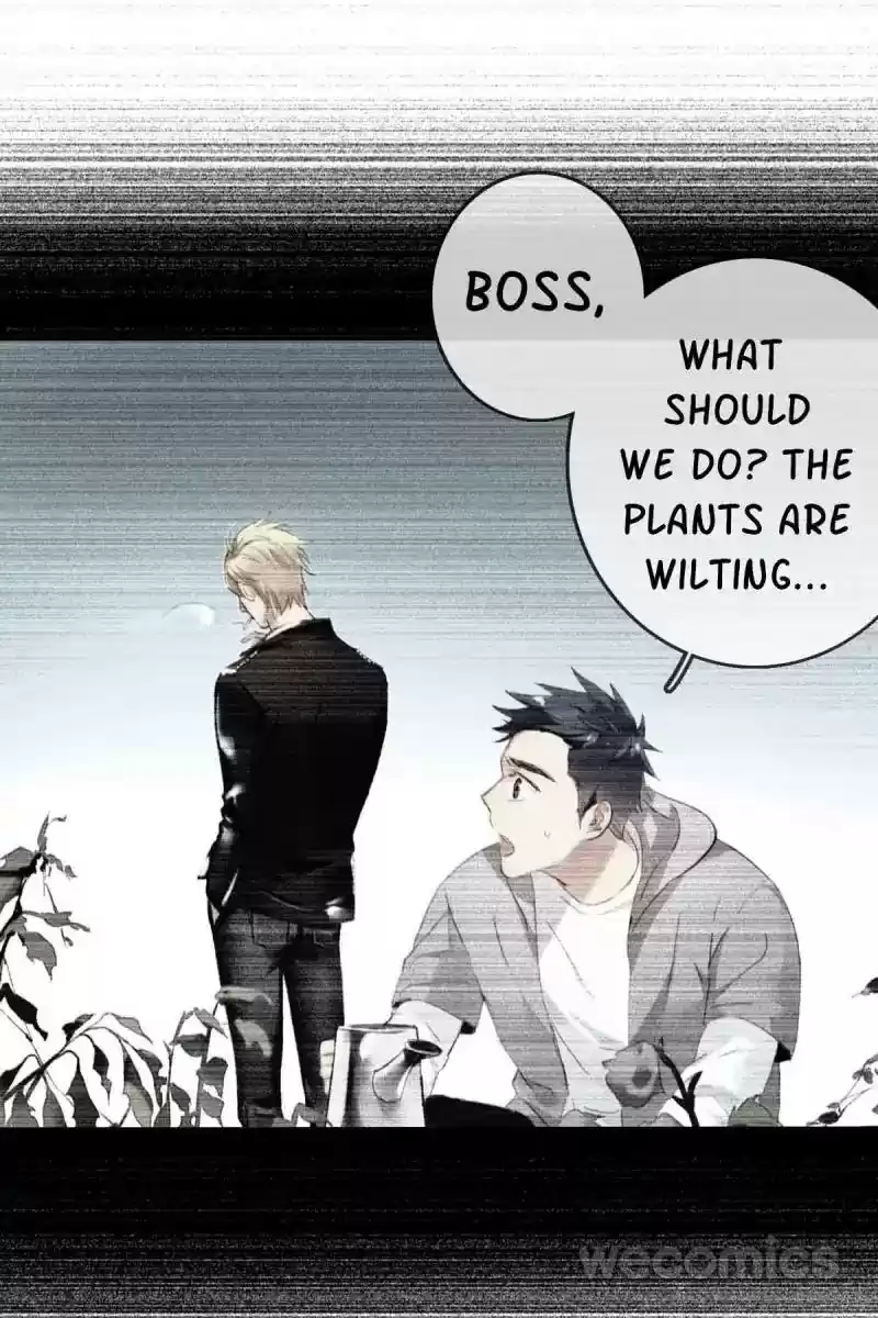 Legend Reboot Chapter 3