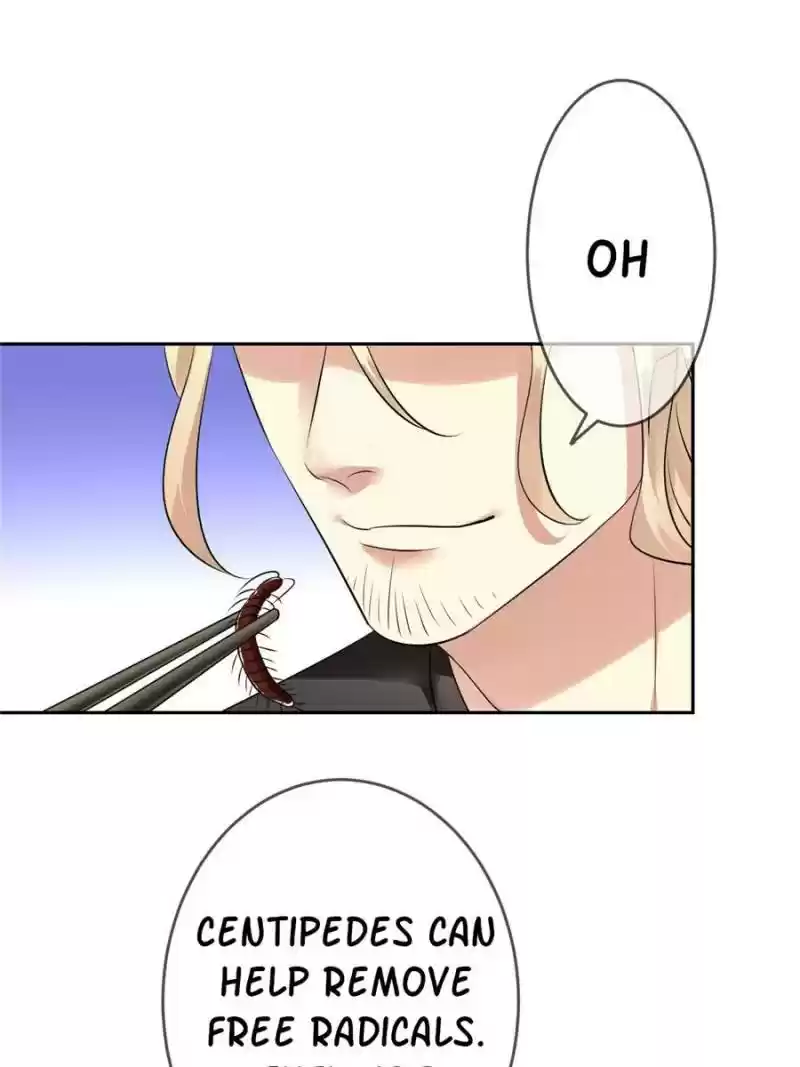 Legend Reboot Chapter 65