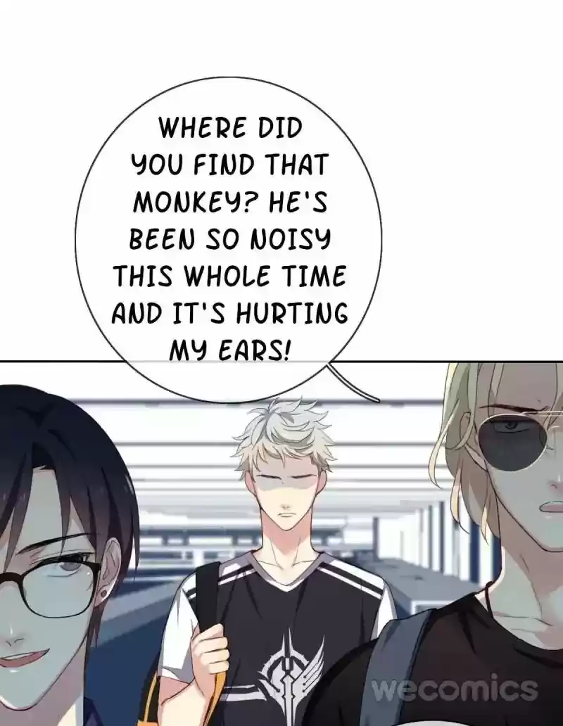 Legend Reboot Chapter 8