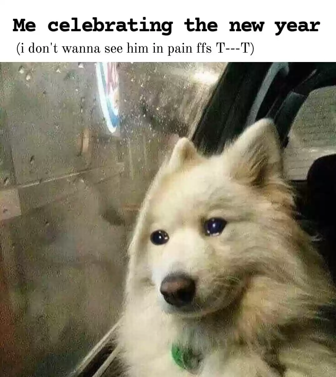 Let's Have A Baby Dragon Chapter 143