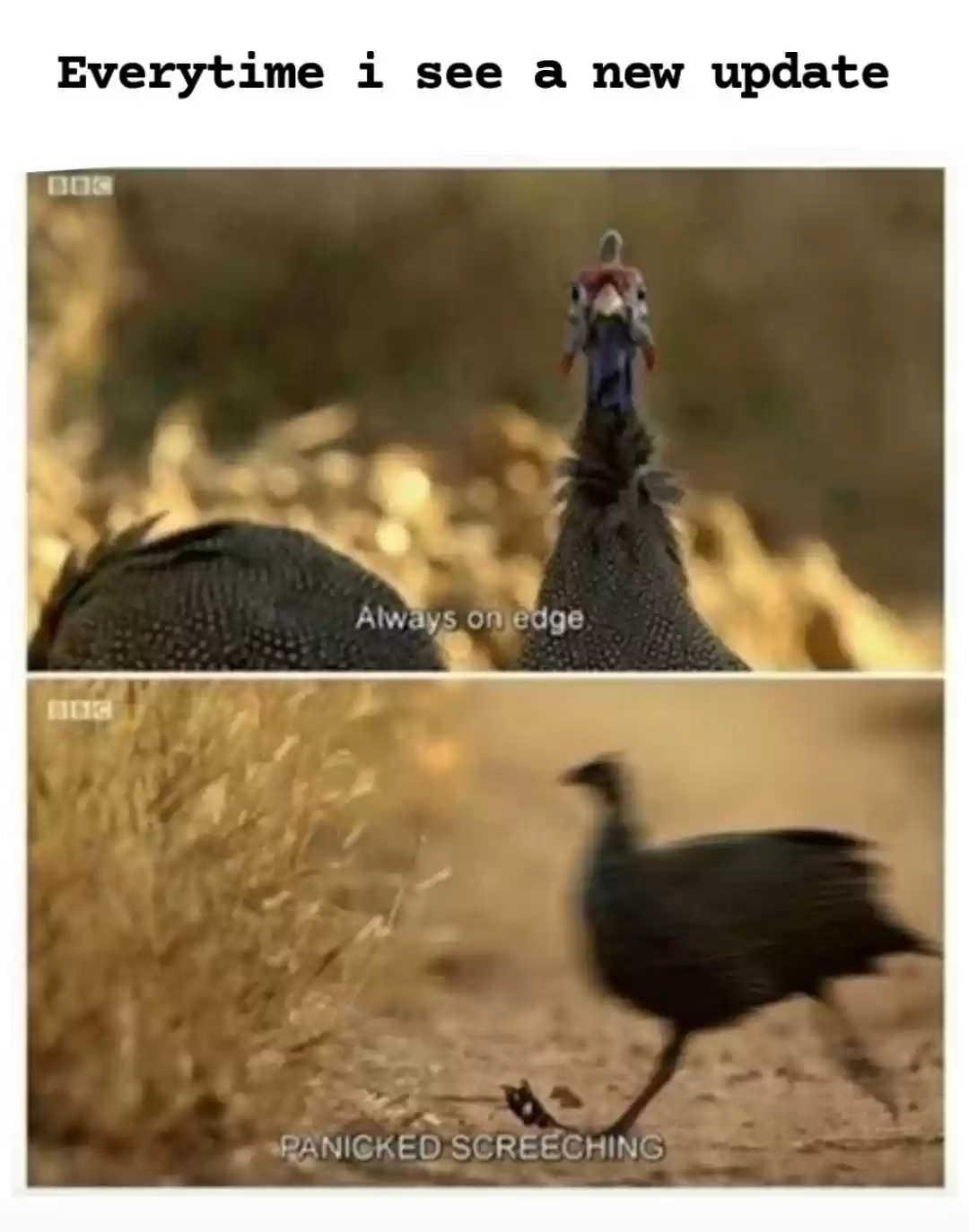 Let's Have A Baby Dragon Chapter 153