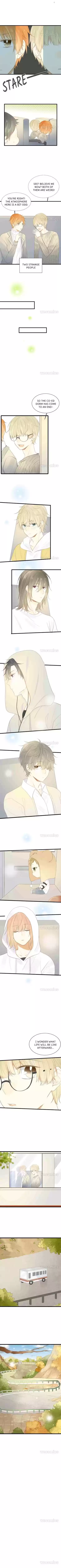 Let's Have A Baby Dragon Chapter 44