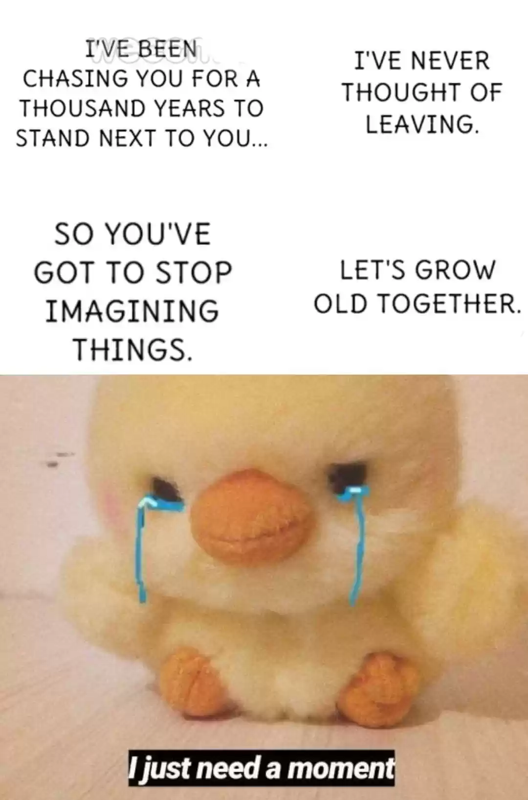 Let's Have A Baby Dragon Chapter 95