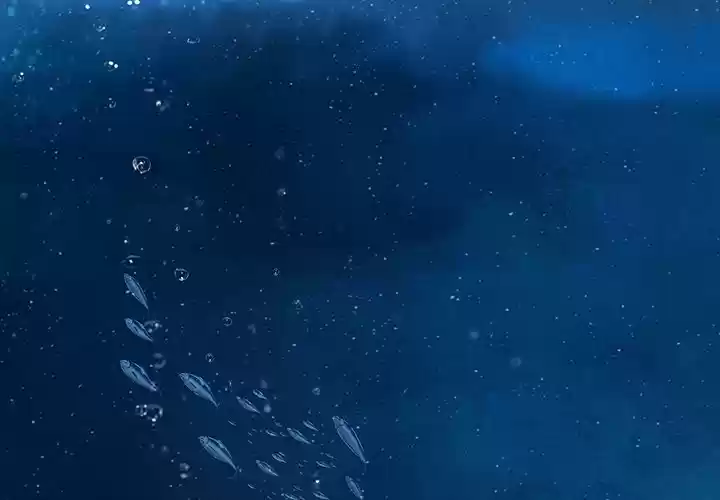 Leviathan Chapter 140