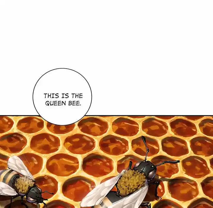 Leviathan Chapter 141