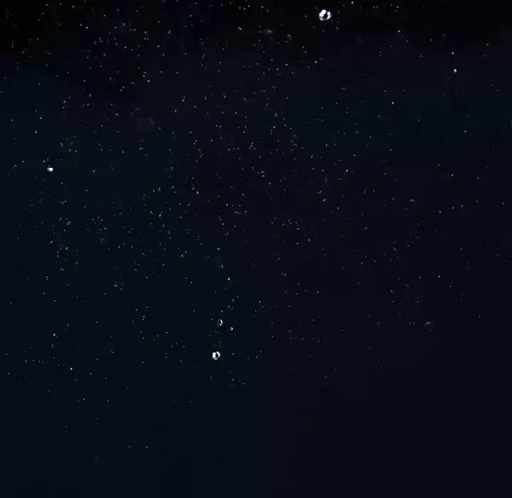 Leviathan Chapter 165