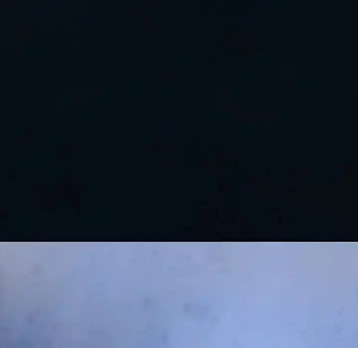 Leviathan Chapter 182