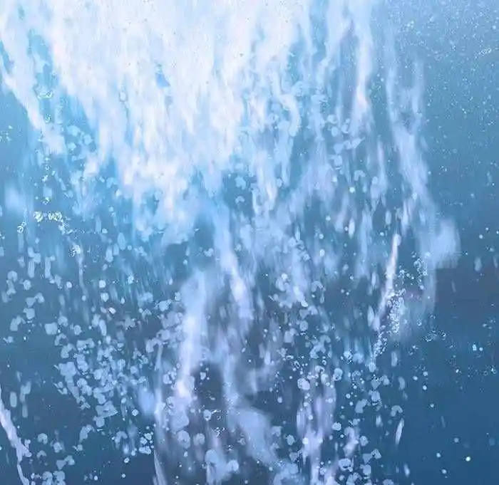 Leviathan Chapter 193