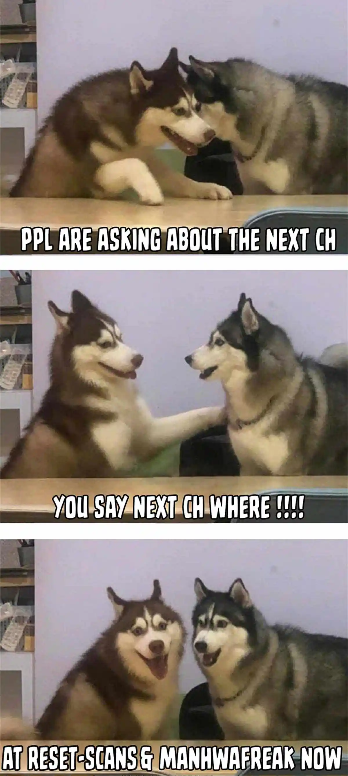 Library of Heaven’s Path Chapter 228