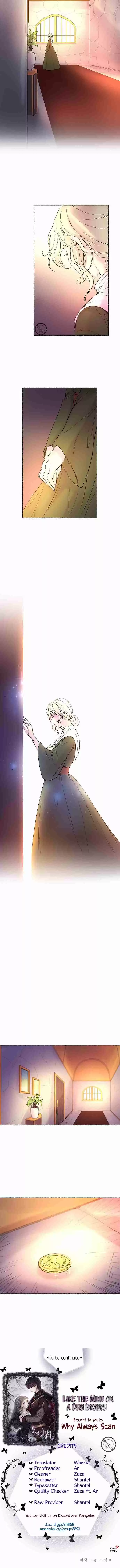 Like the Wind on a Dry Branch Ch. 8