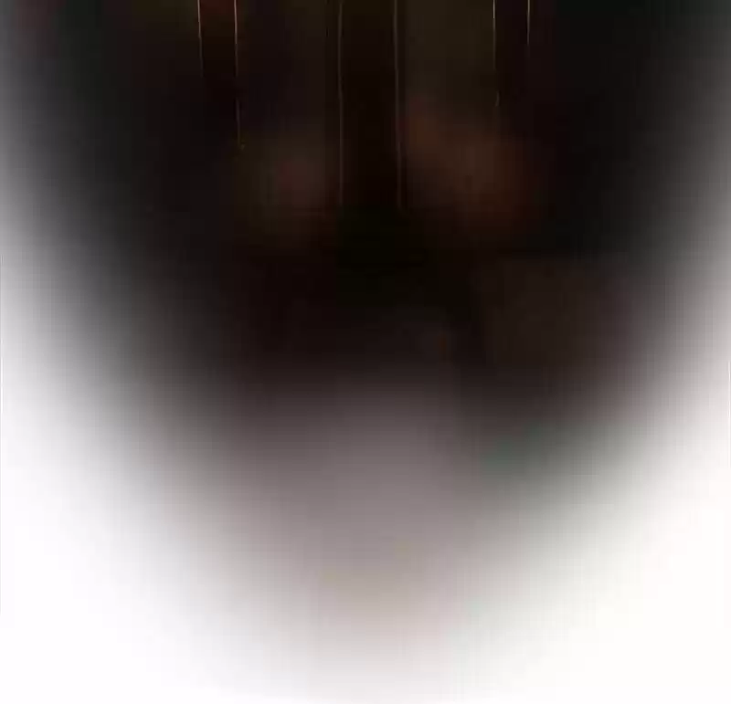 Like the Wind on a Dry Branch Ch.021