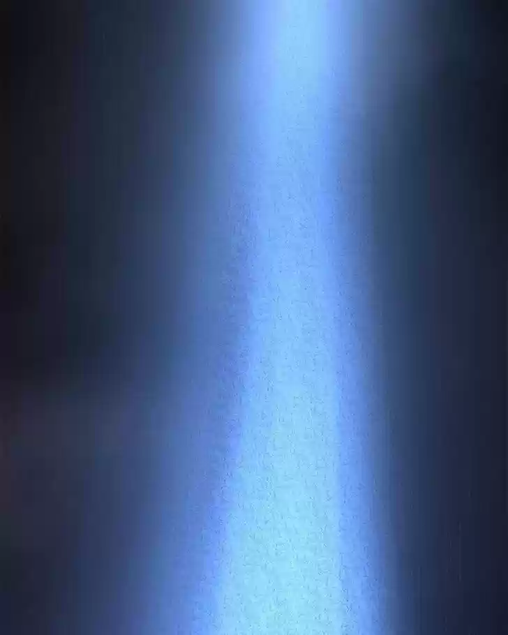 Like the Wind on a Dry Branch Ch.021