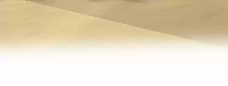 Like the Wind on a Dry Branch Ch.024