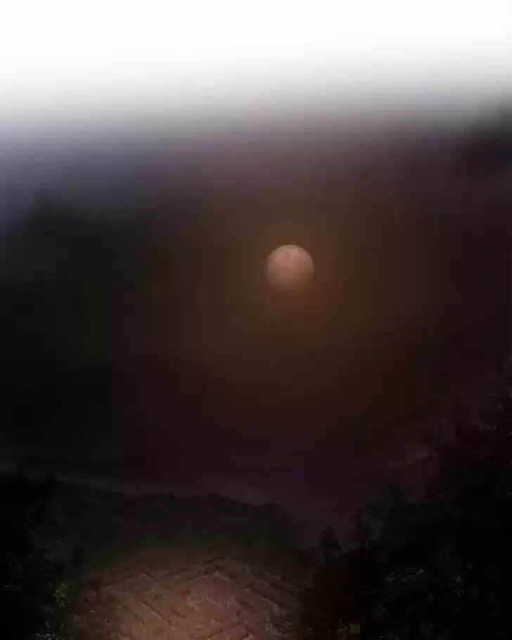 Like the Wind on a Dry Branch Ch.025