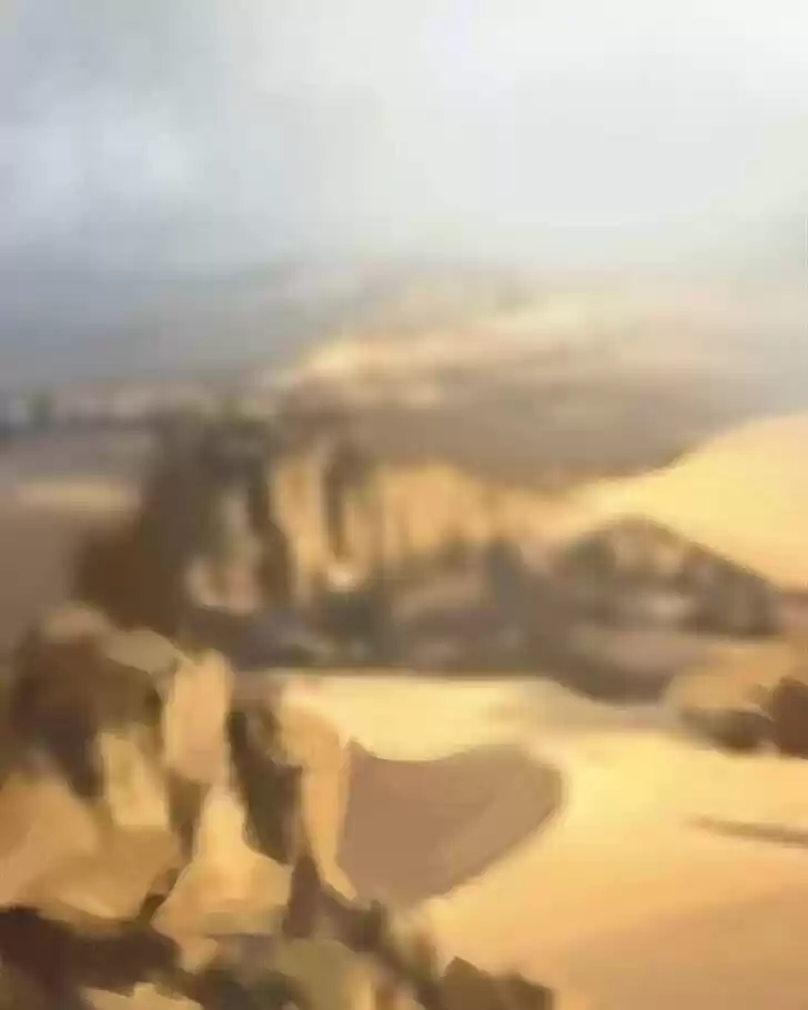 Like the Wind on a Dry Branch Ch.027