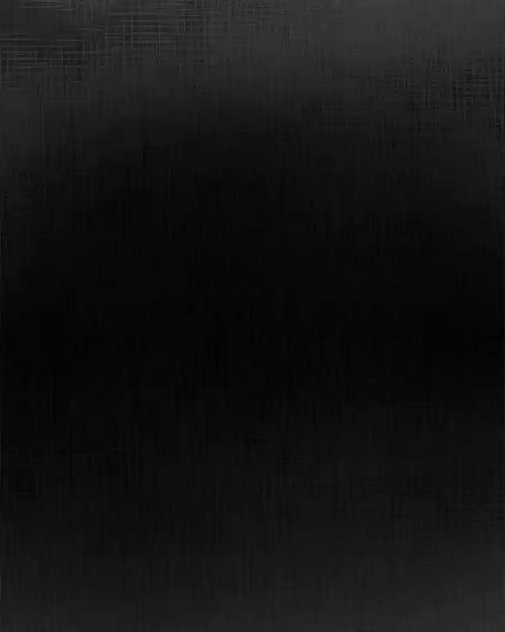 Like the Wind on a Dry Branch Ch.027