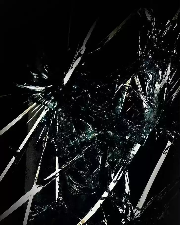 Like the Wind on a Dry Branch Ch.029