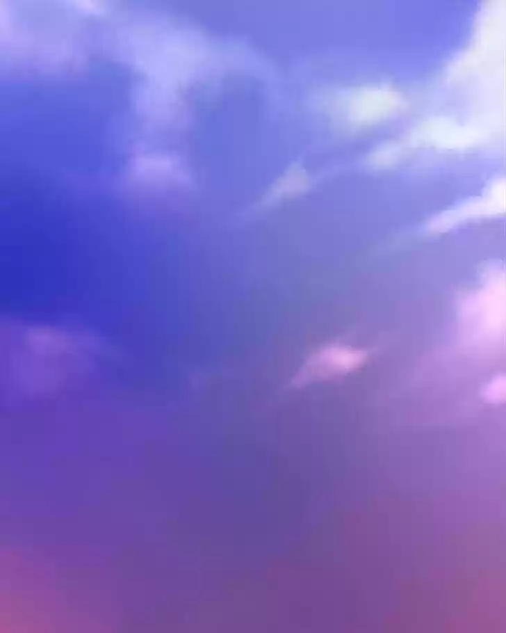 Like the Wind on a Dry Branch Ch.032