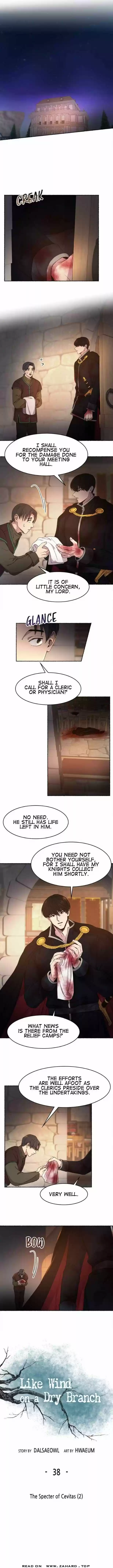 Like the Wind on a Dry Branch Ch.038