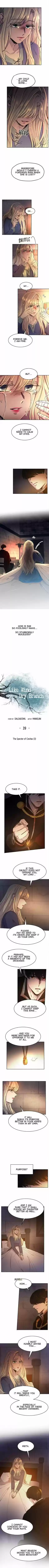 Like the Wind on a Dry Branch Ch.039