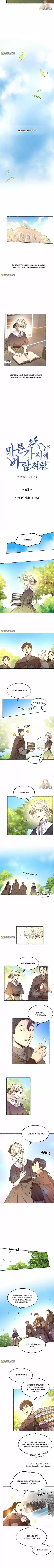 Like the Wind on a Dry Branch Ch.063