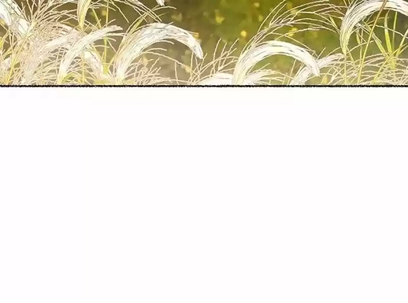 Like the Wind on a Dry Branch Ch.069