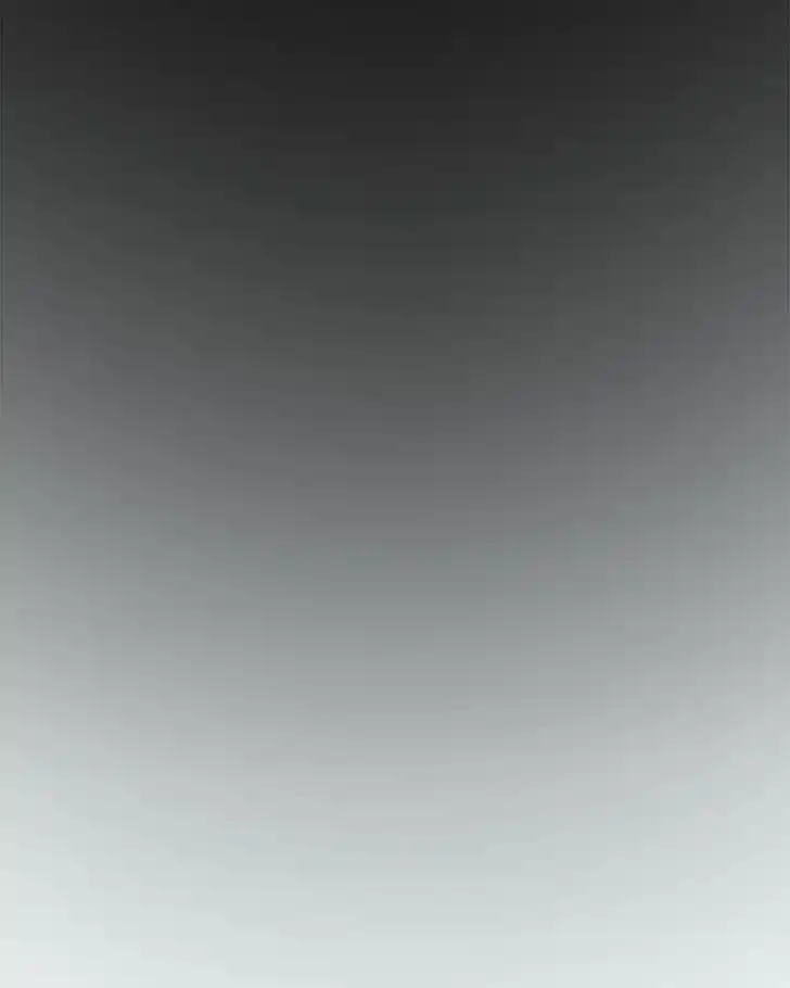 Like the Wind on a Dry Branch Ch.086