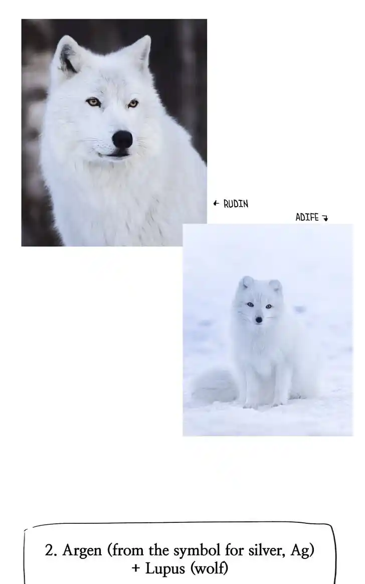 Like the Wind on a Dry Branch Ch.133.5