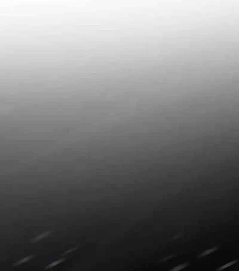 Like the Wind on a Dry Branch Chapter 121