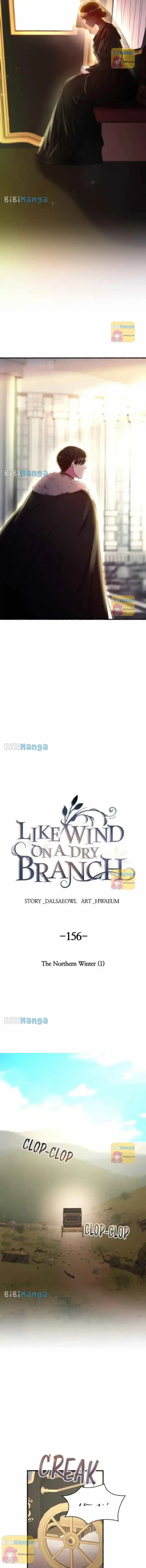 Like the Wind on a Dry Branch Chapter 156