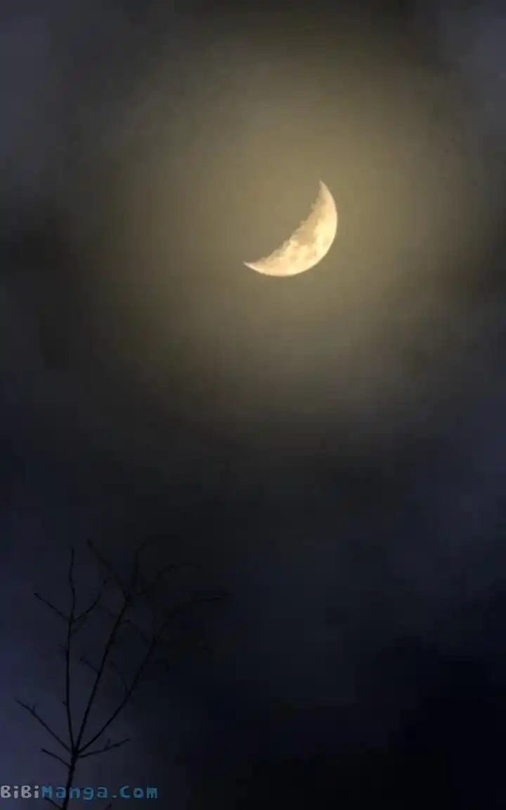 Like the Wind on a Dry Branch Chapter 159