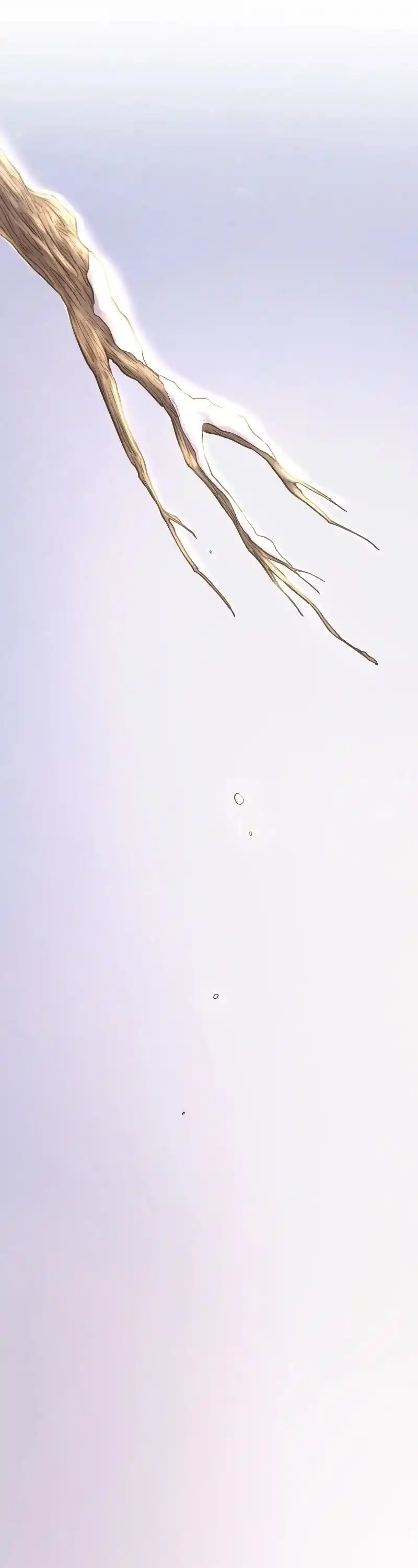 Like the Wind on a Dry Branch Chapter 168