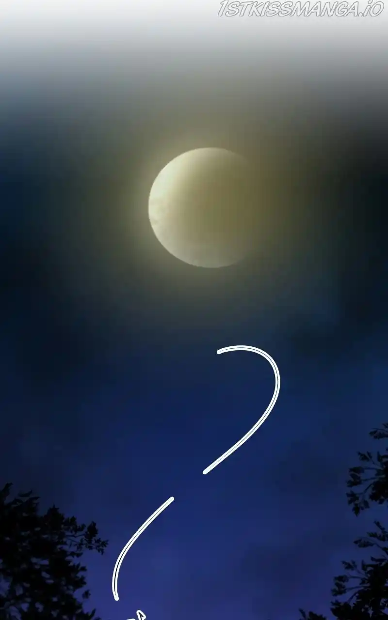 Like Wind On A Dry Branch Chapter 105