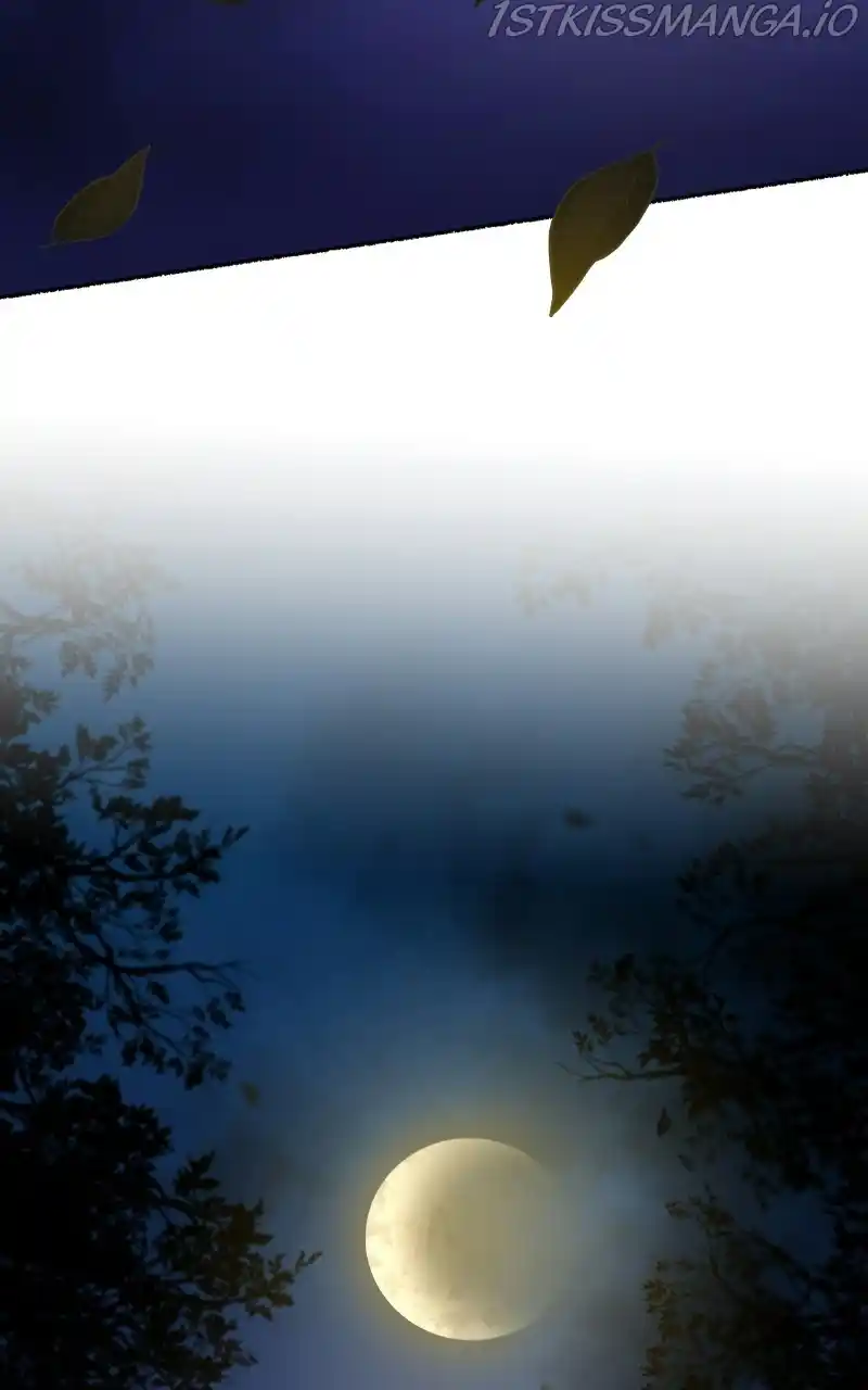 Like Wind On A Dry Branch Chapter 105