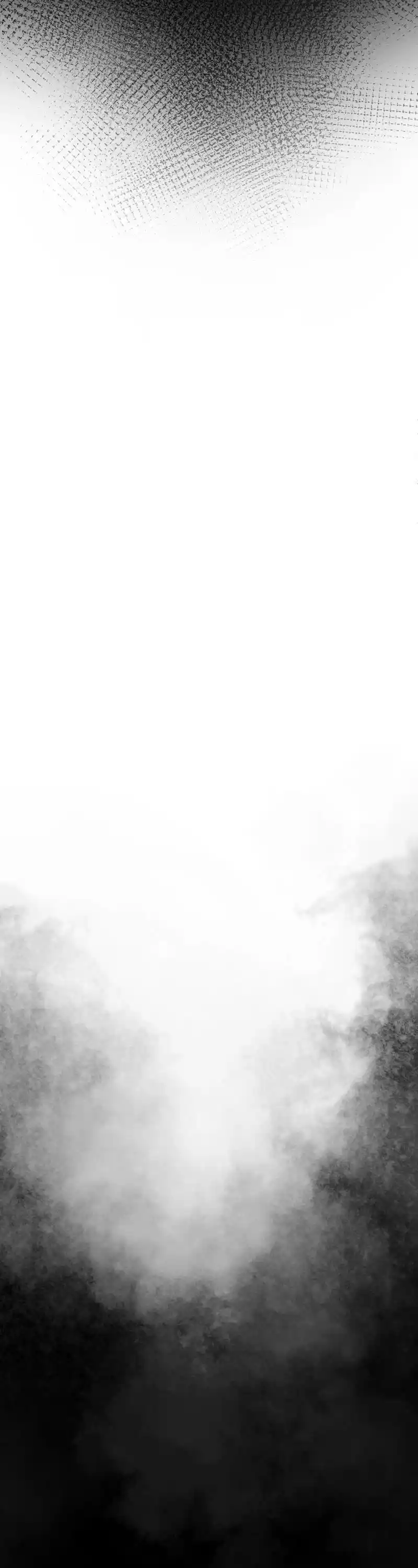 Like Wind On A Dry Branch Chapter 116