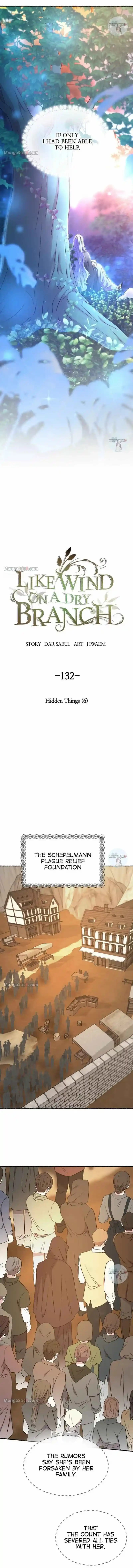 Like Wind On A Dry Branch Chapter 132