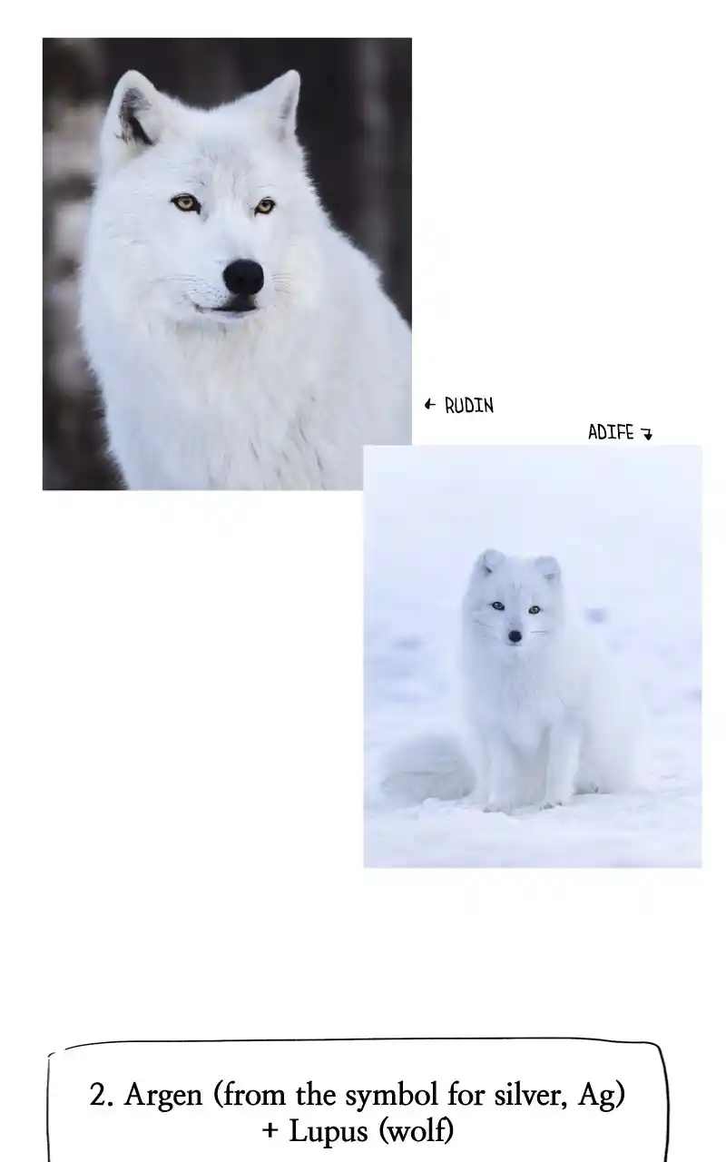 Like Wind On A Dry Branch Chapter 133.1