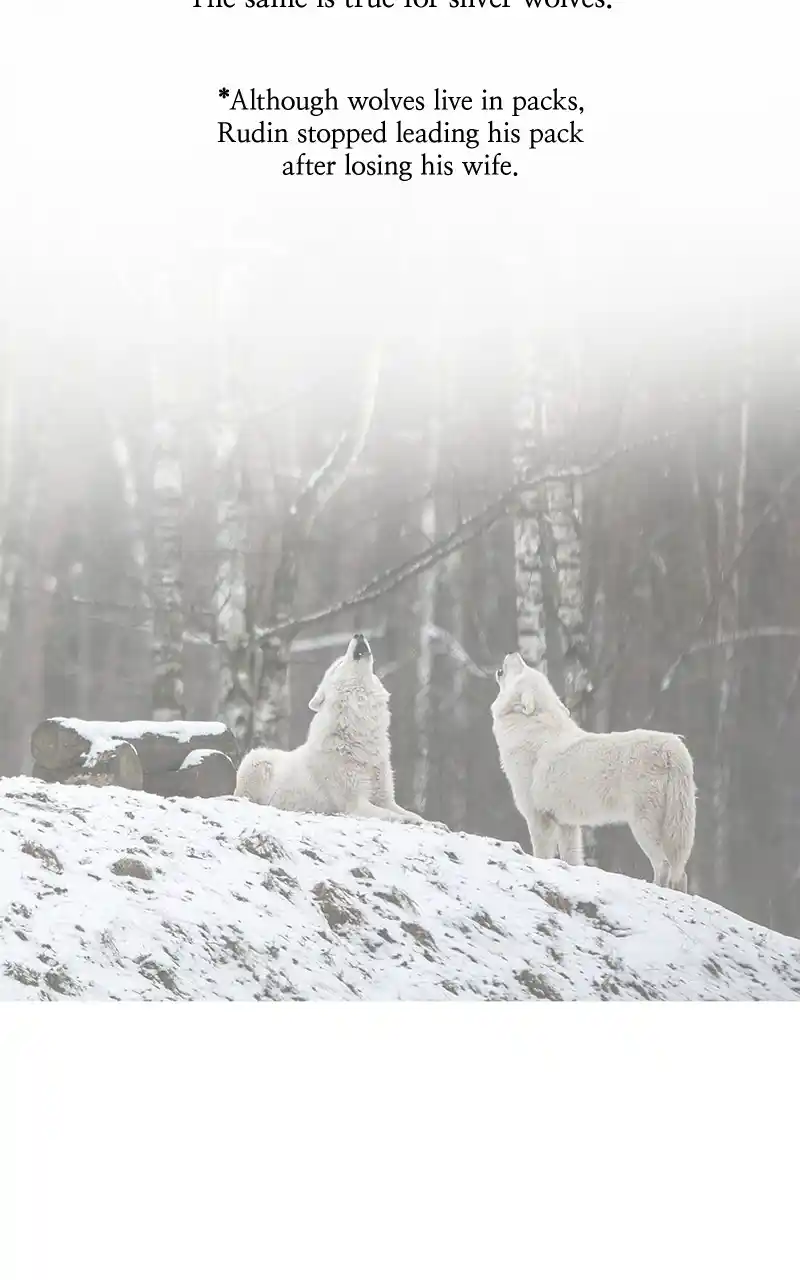 Like Wind On A Dry Branch Chapter 133.1