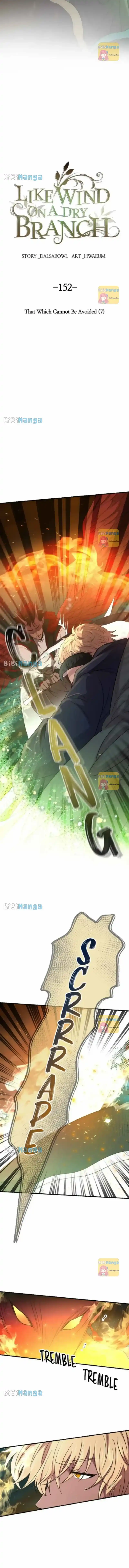 Like Wind On A Dry Branch Chapter 152