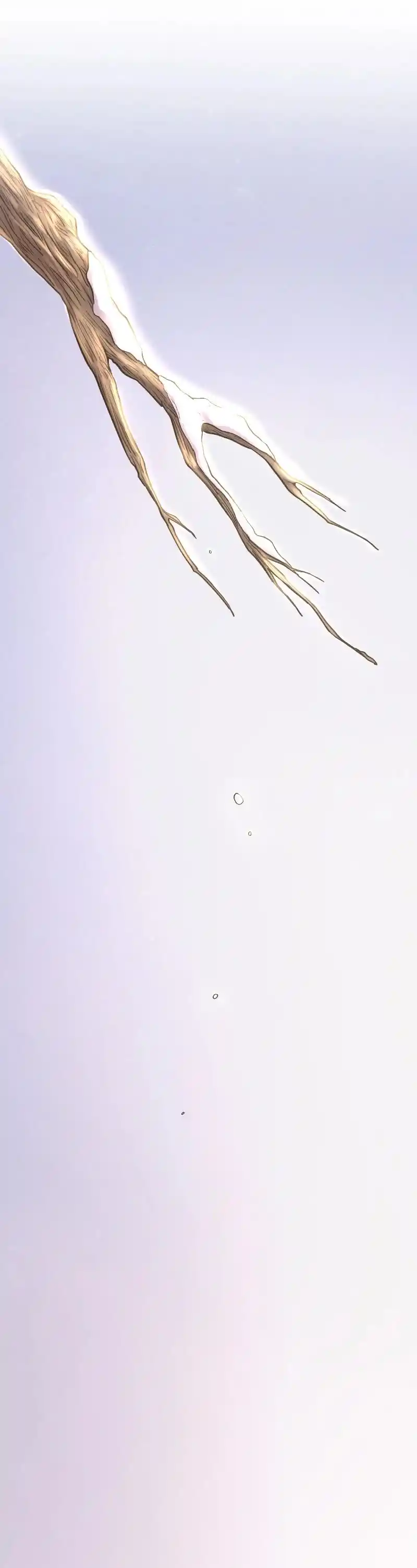 Like Wind On A Dry Branch Chapter 168