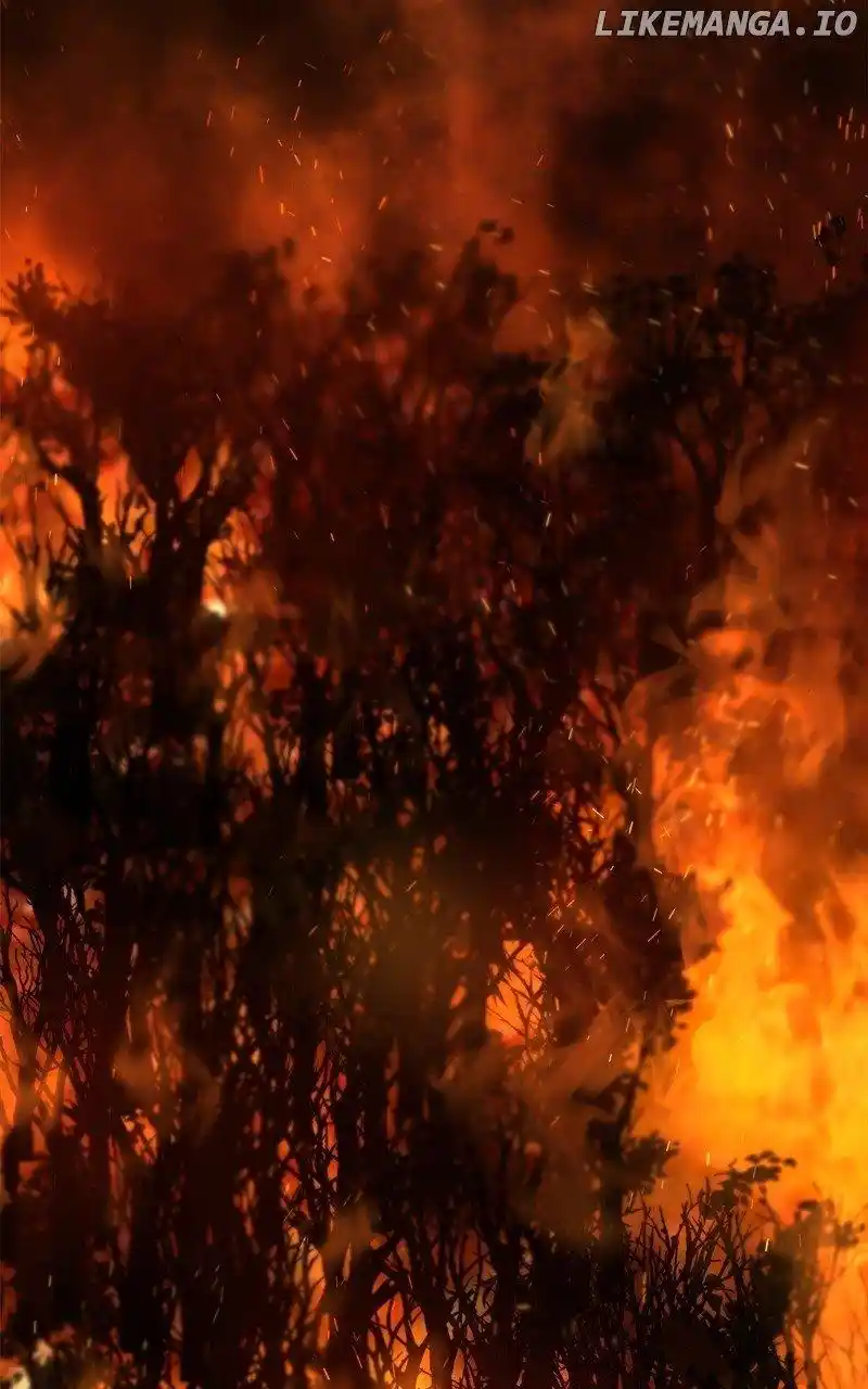 Like Wind On A Dry Branch Chapter 171