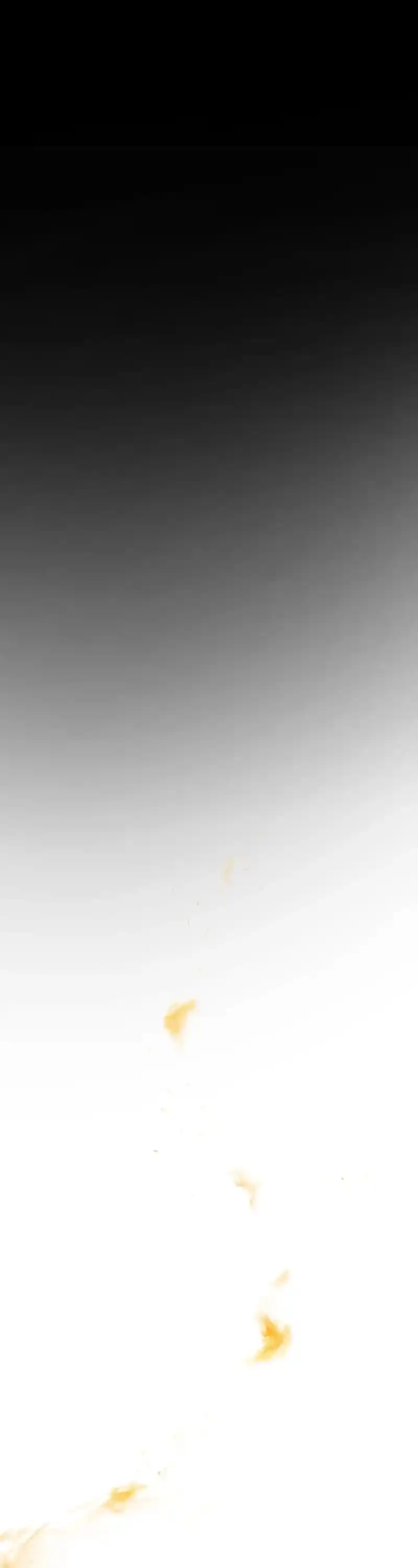 Like Wind On A Dry Branch Chapter 201