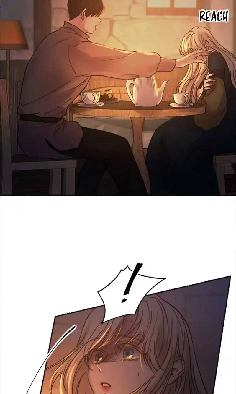 Like Wind On A Dry Branch Chapter 26