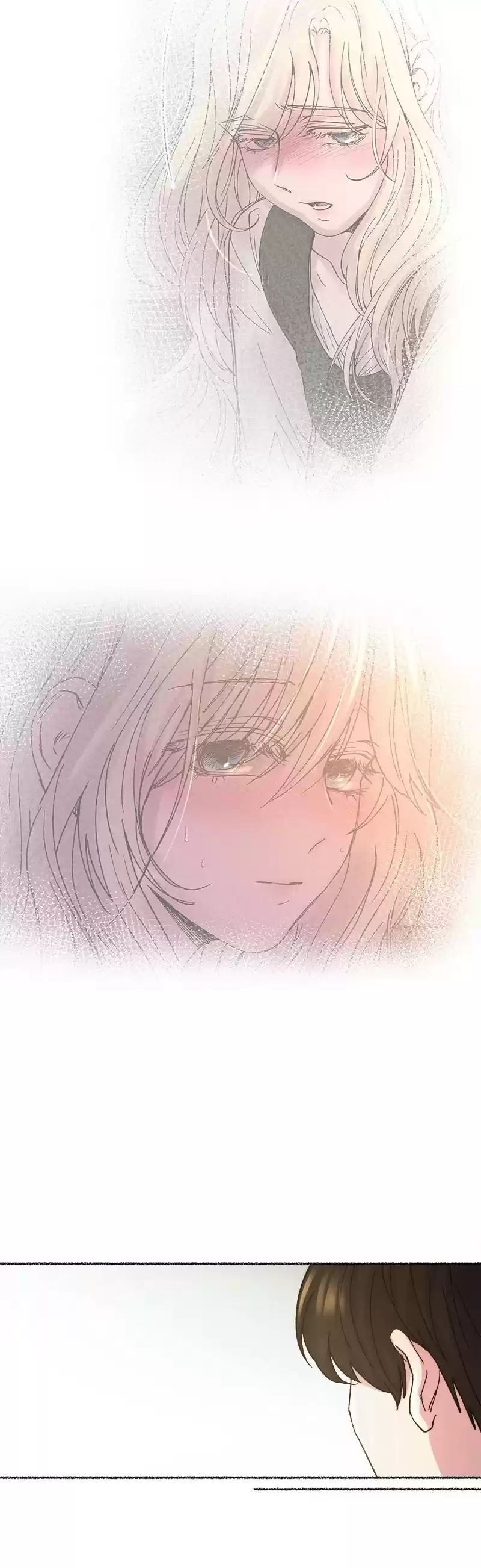 Like Wind On A Dry Branch Chapter 41