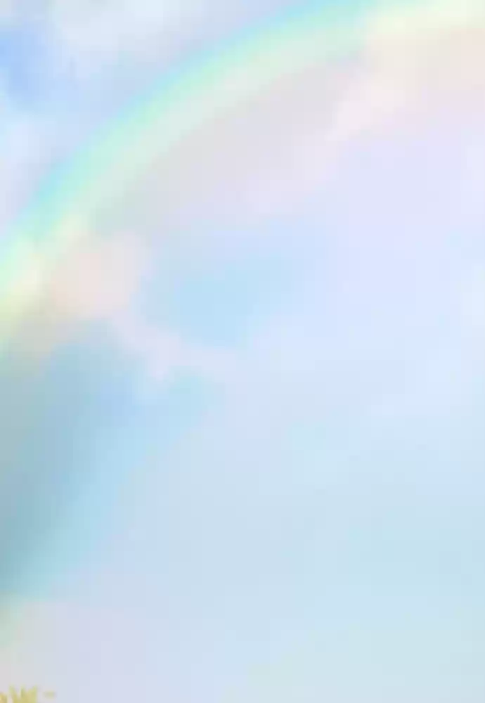 Like Wind On A Dry Branch Chapter 43